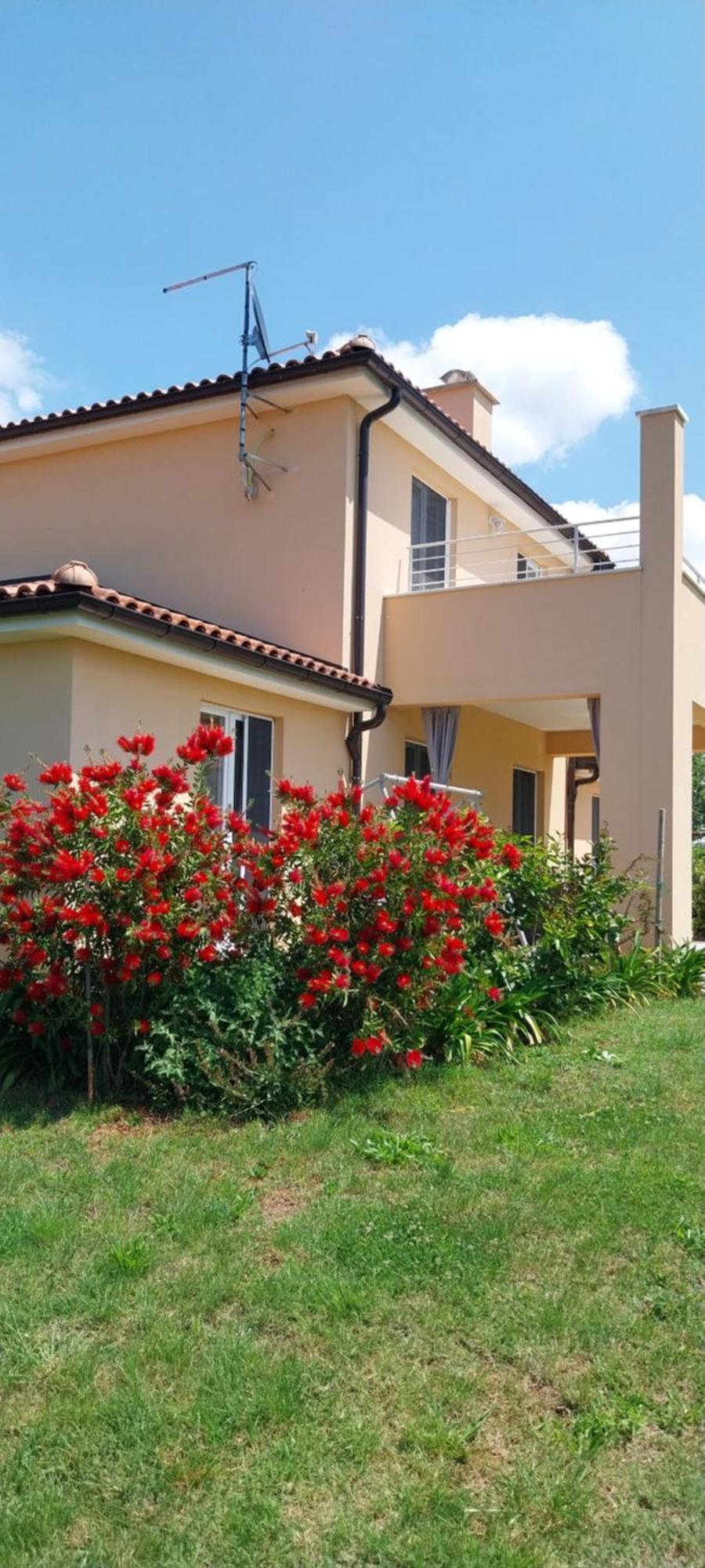 Vila Dubravka - Schoen Und Komfortabel Inmitten Von Olivenbaeumen Und Weinbergen Mit Whirlpool Valtura Exterior photo